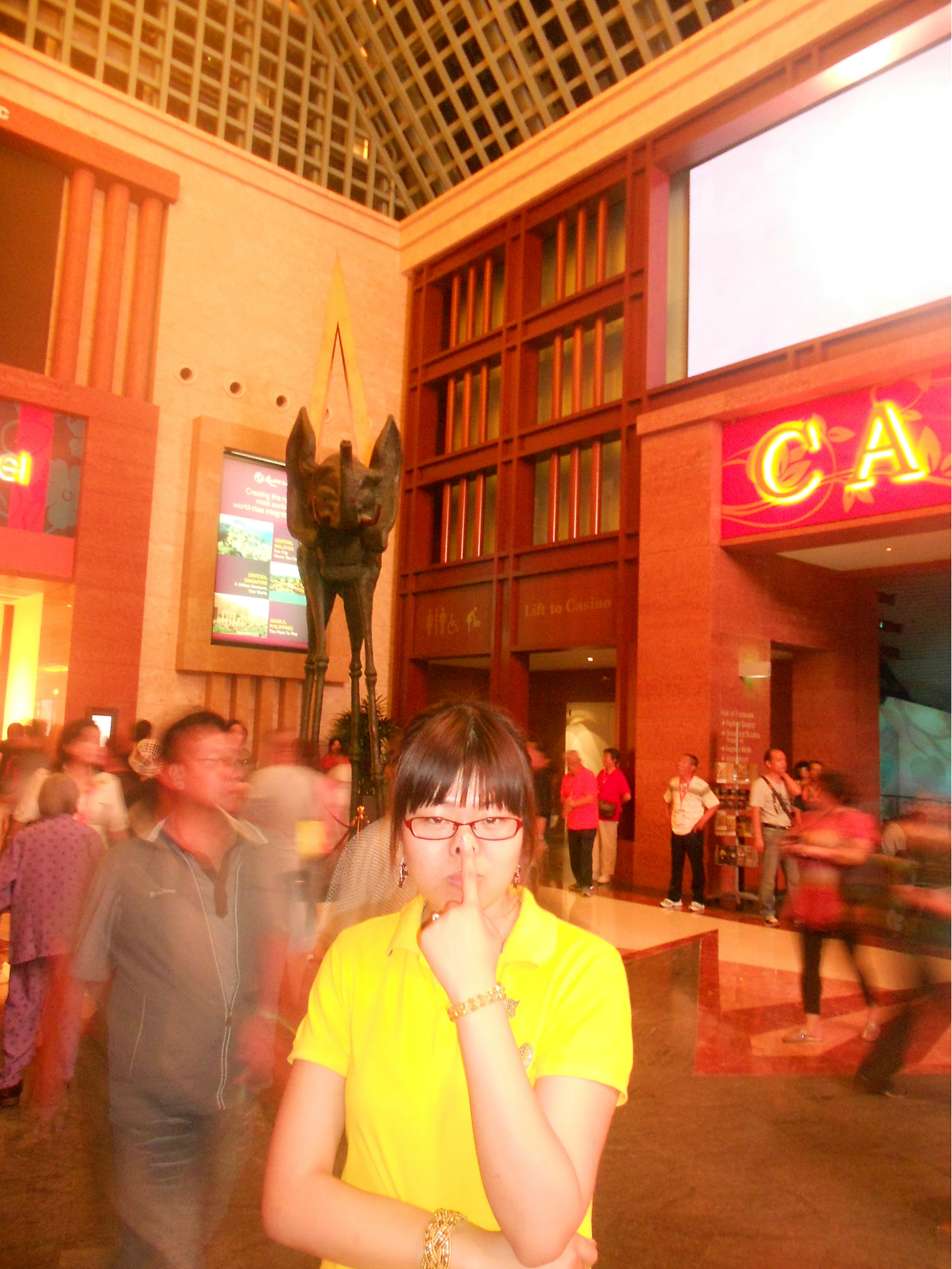 新加坡酒店_新加坡旅游景点_新加坡人均收入2013(3)