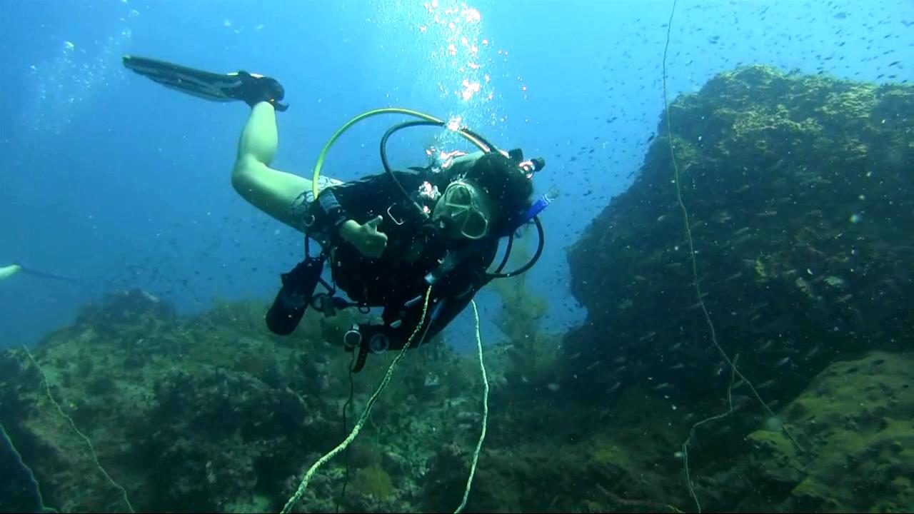 diving in koh tao(涛岛游记) 多图,无任何攻略,慎点.