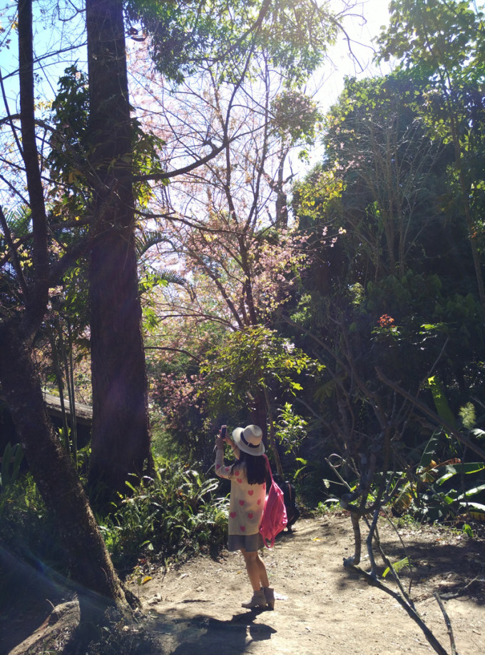 主要旅游区地图,这些都帮了我们很大的忙,我们填落地签的速度很快,甚至比一些已签好证的早一步入关。 注意:出入境卡是在飞机上发的,一式2份,一份出关要交,另一份就夹在护照里千万不要弄掉了,落地签一定要准备好2张2寸白底近期照片。 然后就是第一晚住宿的酒店一定要提前预定好,因为落地签时会要求看你的酒店预定单,还有就是到当地已经很晚了,黑灯瞎火的不好找,为了能顺利到达酒店我甚至在佰程旅游定了机场接送专车服务,才29元钱,一出机场就看到师付举着写有我名字的牌子来接人,车子很大像保姆车一样,而且显然事先已经熟悉了地