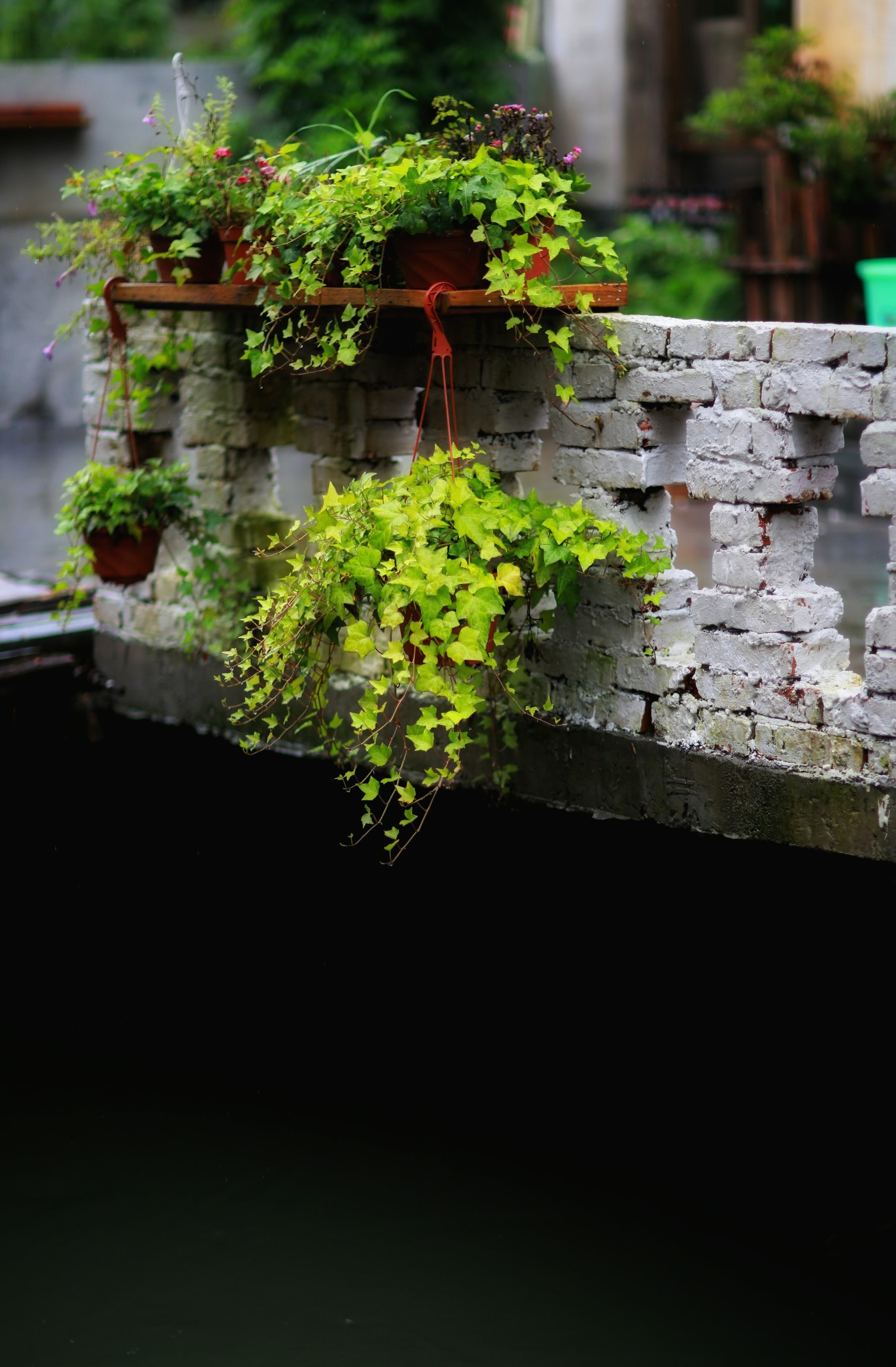 山重水路疑无路柳暗花明又一村猜成语
