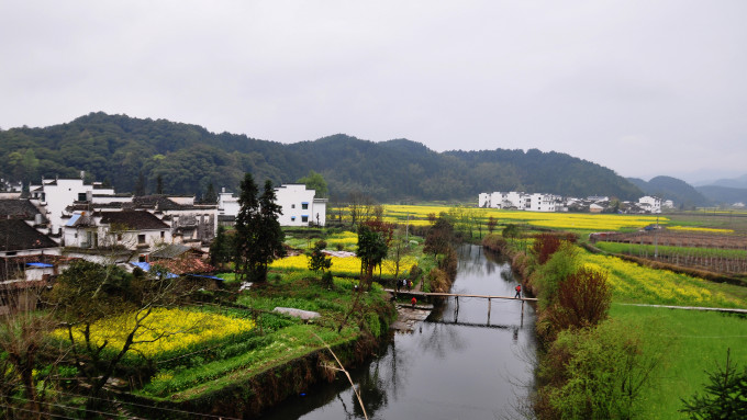 婺源东线: 这一条线主要有水墨山水般的风景月亮湾,伟人故里江湾、有生态家园,田园风光晓起、中国最美乡村的最美村庄汪口、小桥流水人家李坑、江岭是天上人间,具有十万梯田油菜花海,春天必游精品风景区。景点分别为月亮湾、李坑、汪口、江湾、晓起、江岭、段莘水库、庆源。这条线春天是最精品的线路,其中月亮湾,李坑,汪口,江湾,晓起,都是在一条线上,交通方便,古村落为主,黄灿灿的油菜花,粉红的桃花,雪梨花,小桥流水,田园风光融为一体.