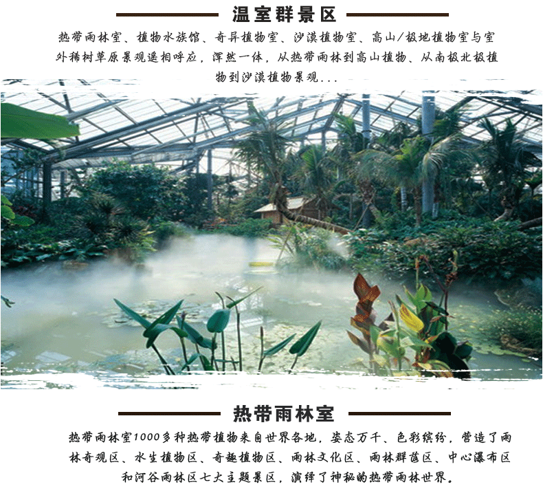 广州华南植物园门票(出行无忧 无需排队)