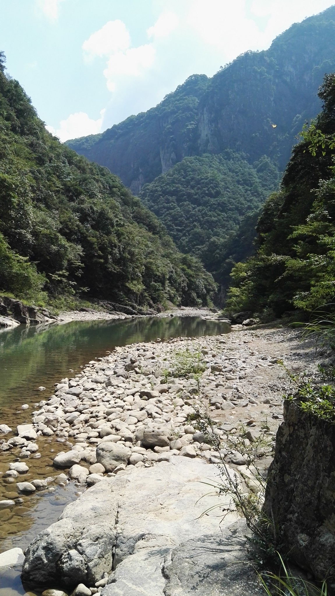 江南秘境,神奇炉西峡大穿越,景宁旅游攻略 - 马蜂窝