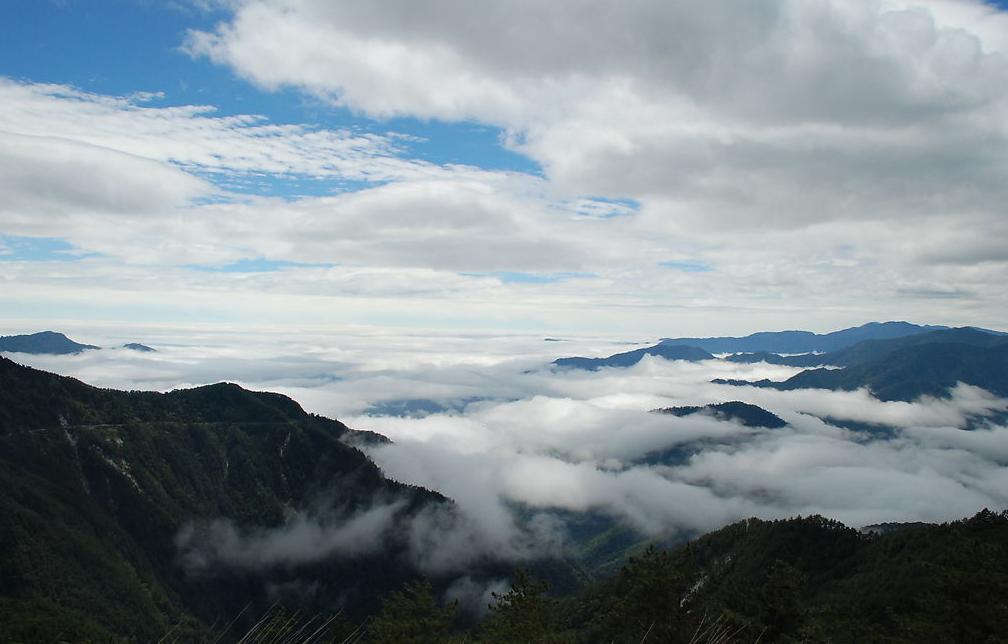 云雾山简谱_云雾山香烟