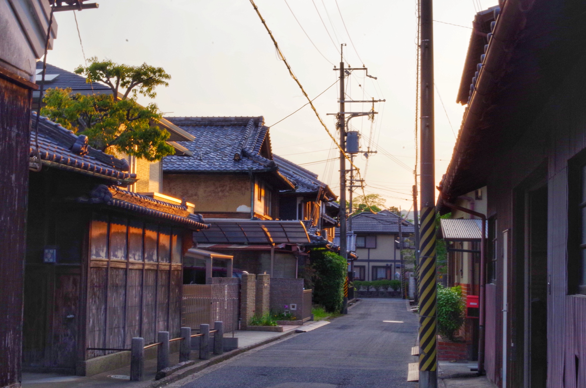 世味煮成茶--日本关西大阪/京都/宇治/奈良七日行