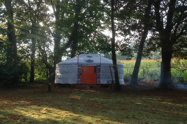 beautiful, authentic mongolian yurt