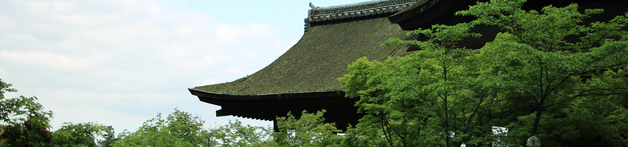 ... 京都、大阪、迪士尼环球海贼王Kitty等各种乐园,日本